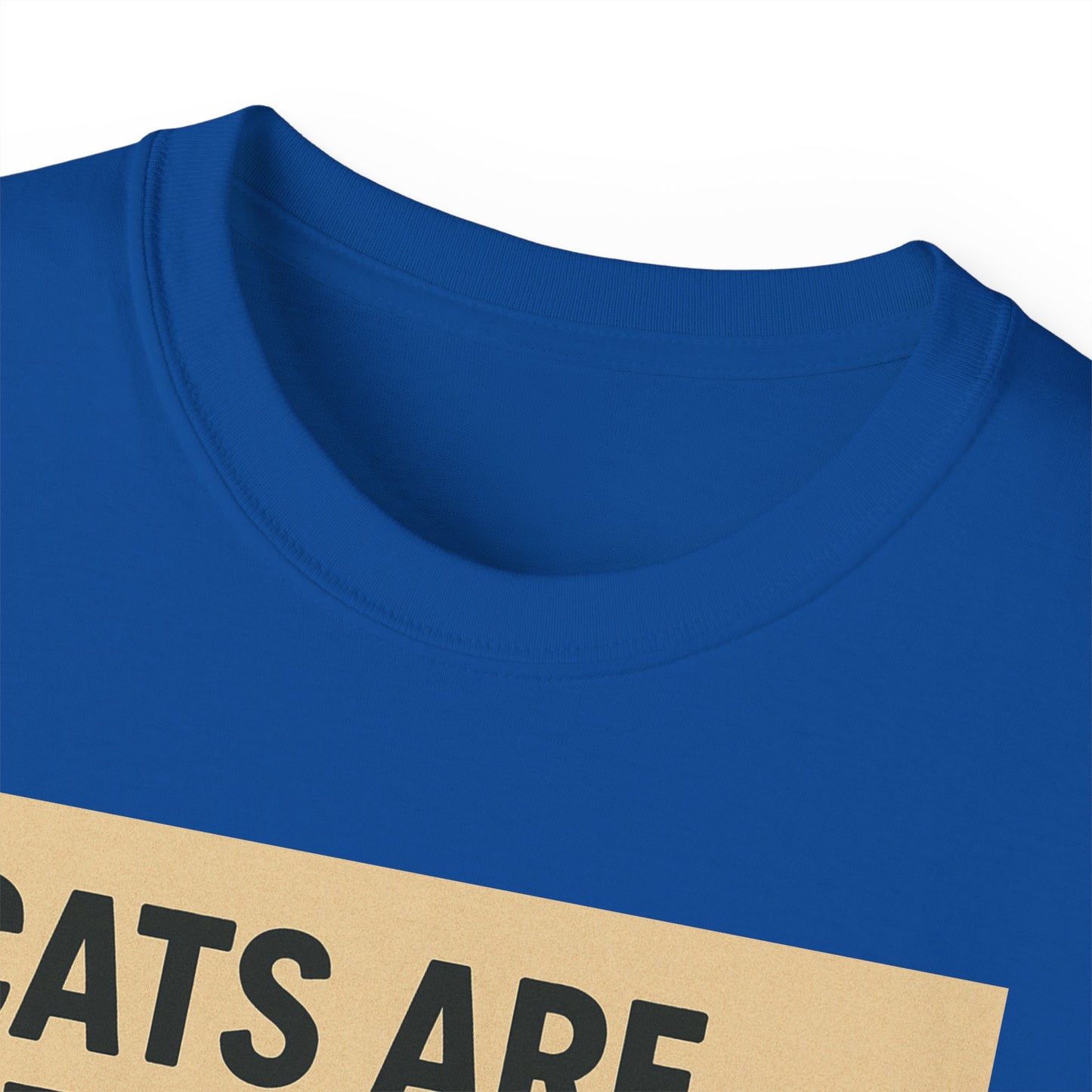 Cats Are Better Than Humans T-Shirt