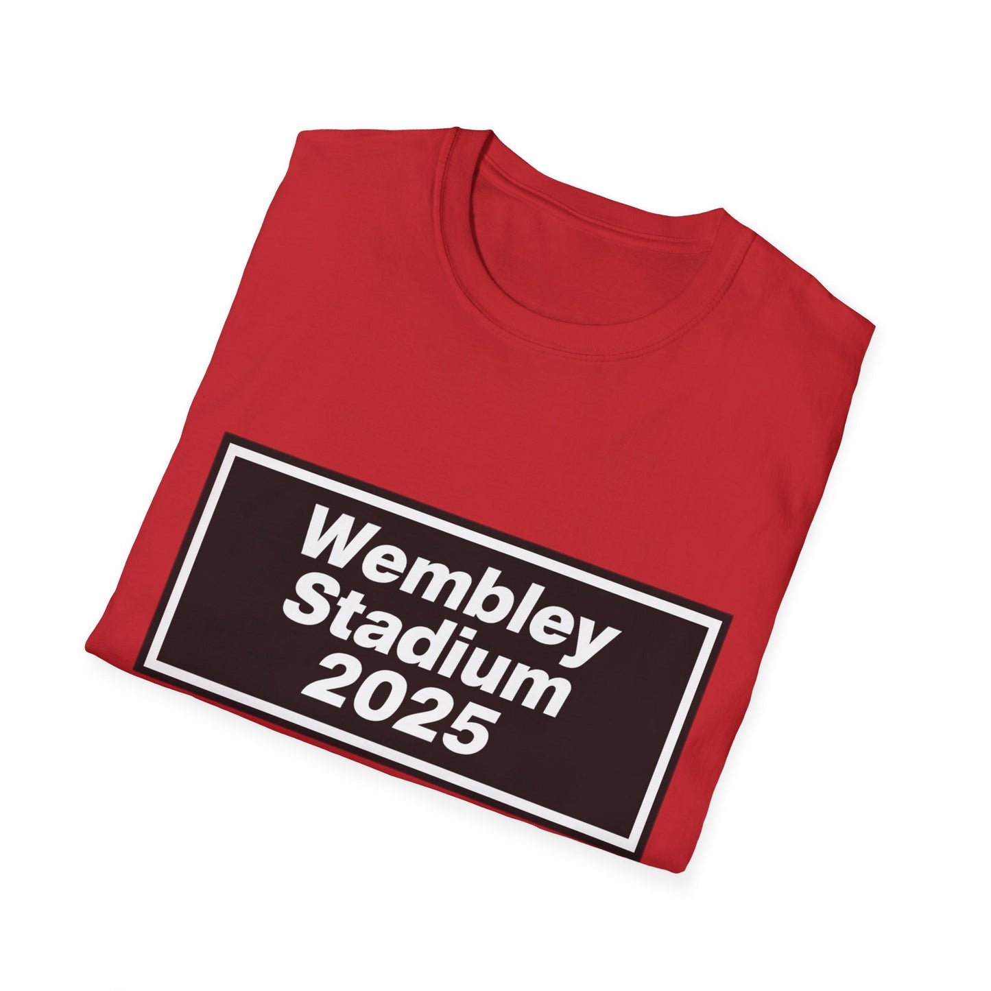 Oasis Wembley Stadium 2025 T-Shirt