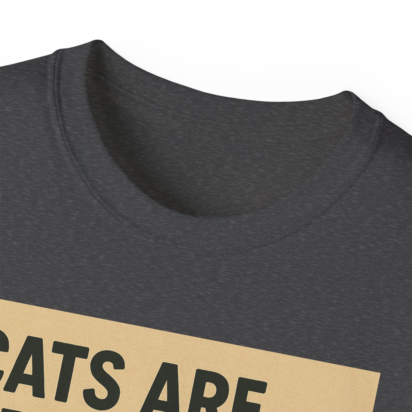 Cats Are Better Than Humans T-Shirt