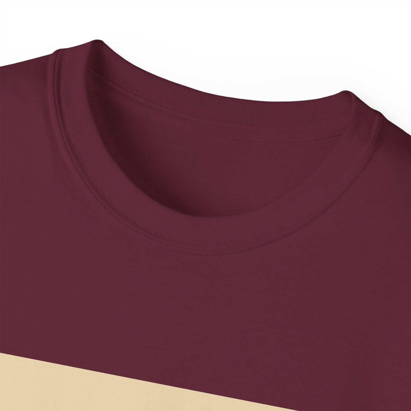 Maine Road 1990s - Manchester City