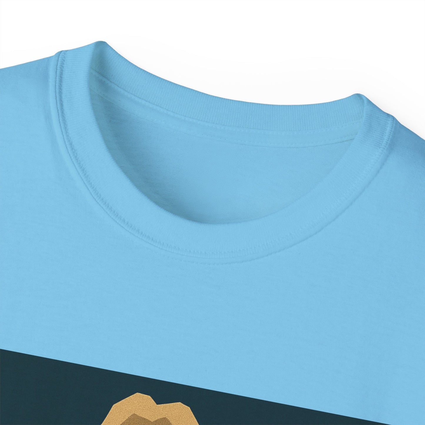 Ric Flair WWF WWE WOOO