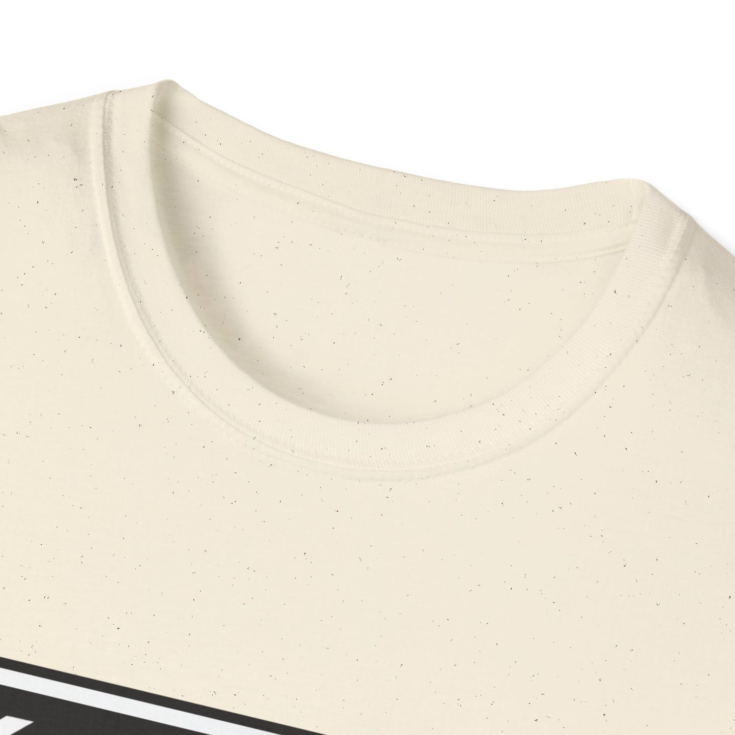 Oasis Knebworth Park 2026 T-Shirt