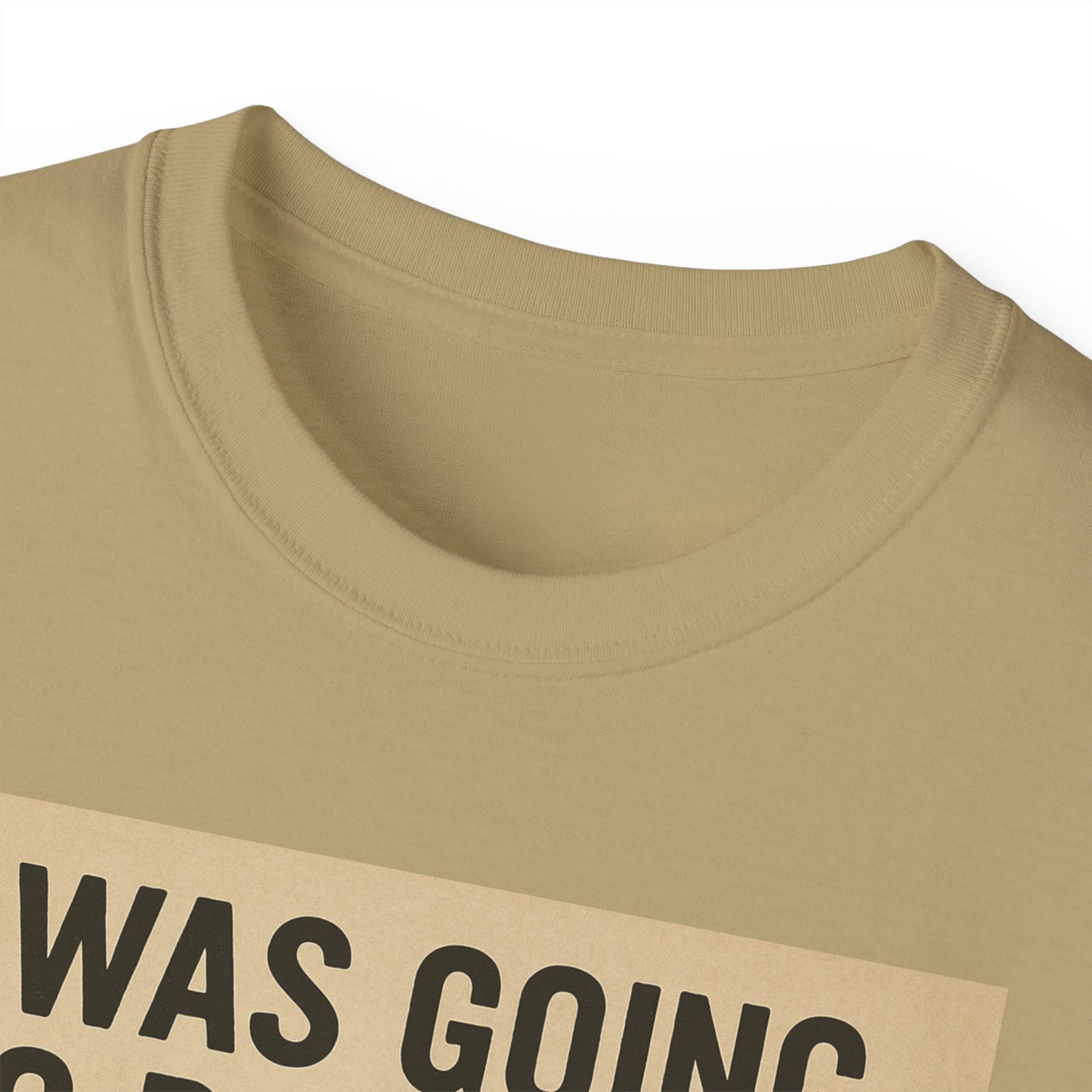I Was Going To Do It But, Kittens T-Shirt