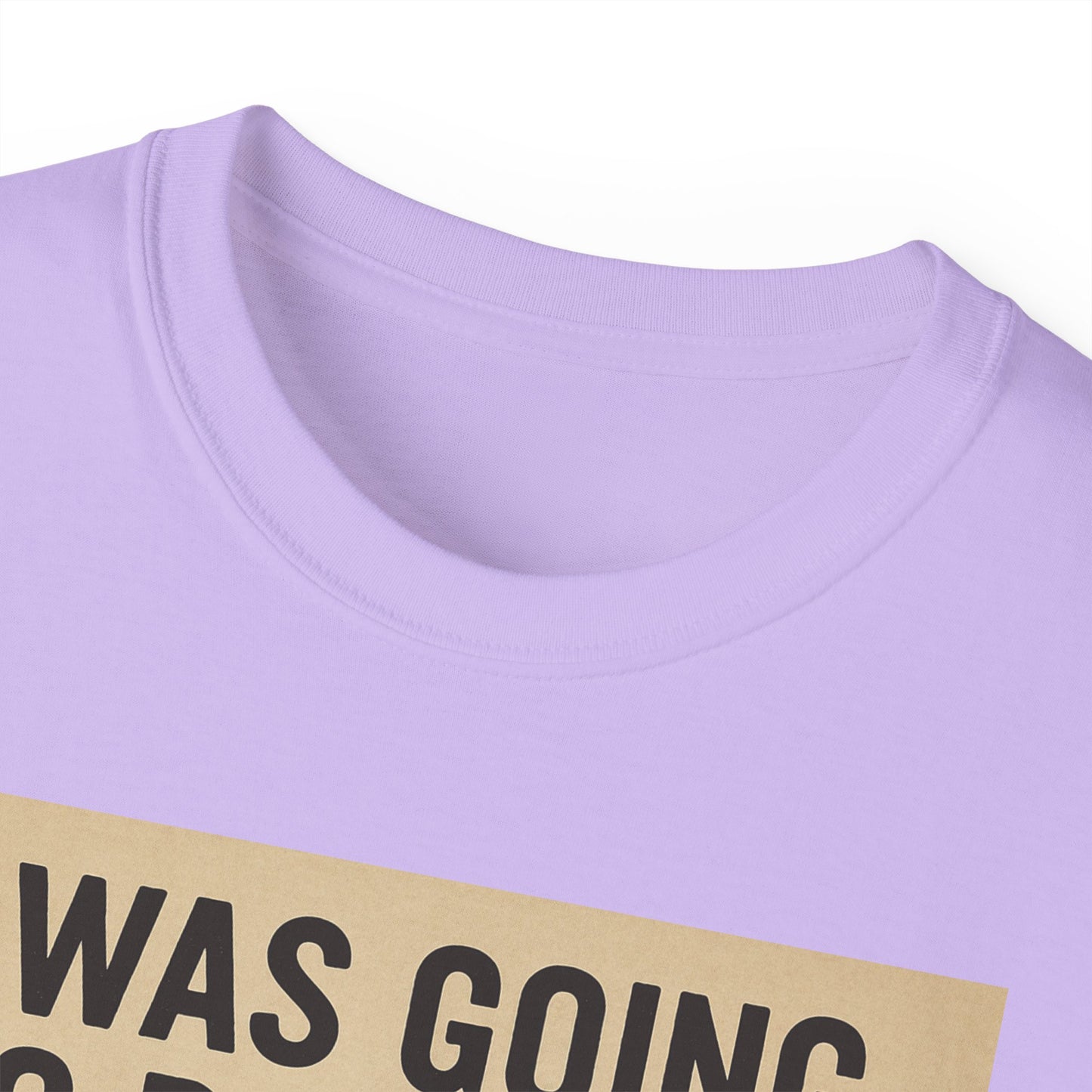 I Was Going To Do It But, Kittens T-Shirt