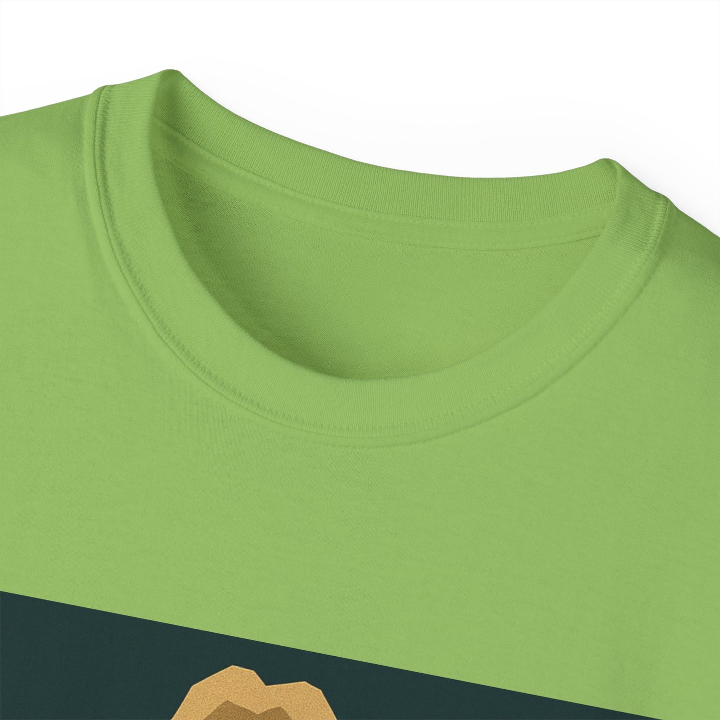 Ric Flair WWF WWE WOOO