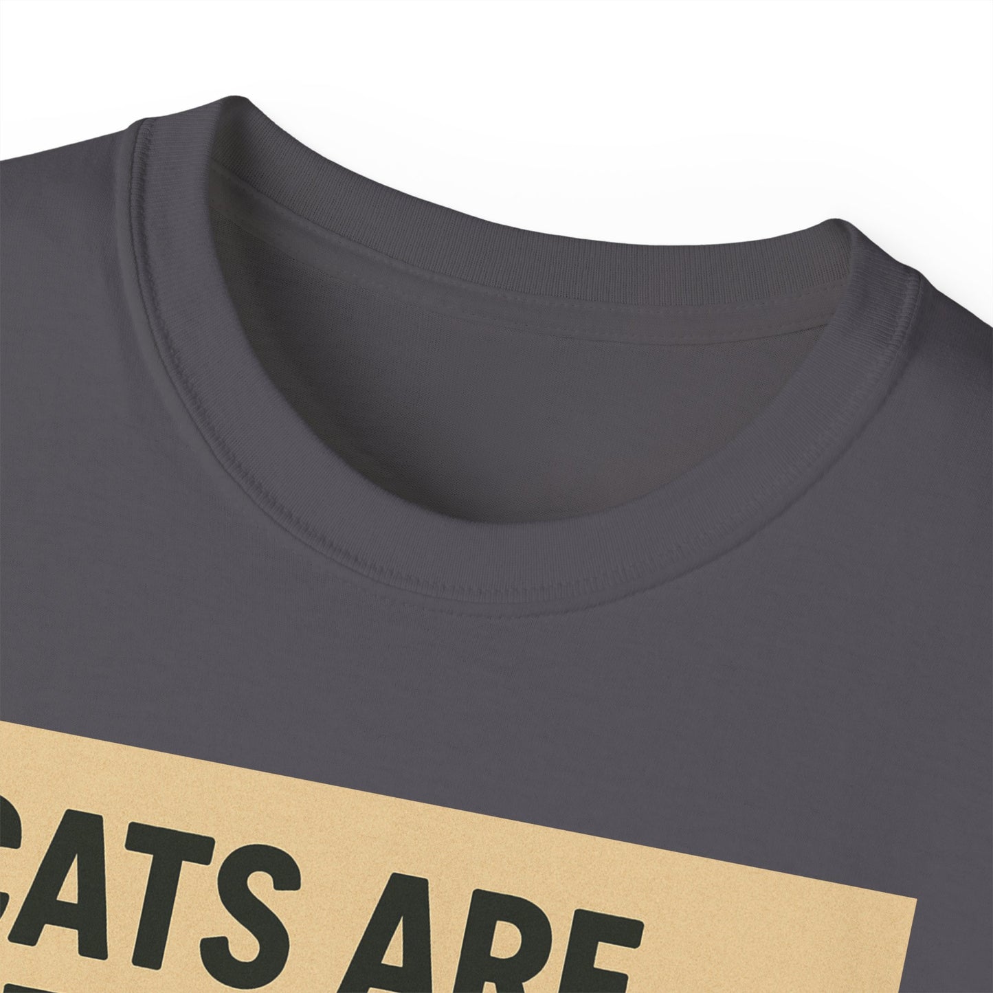 Cats Are Better Than Humans T-Shirt