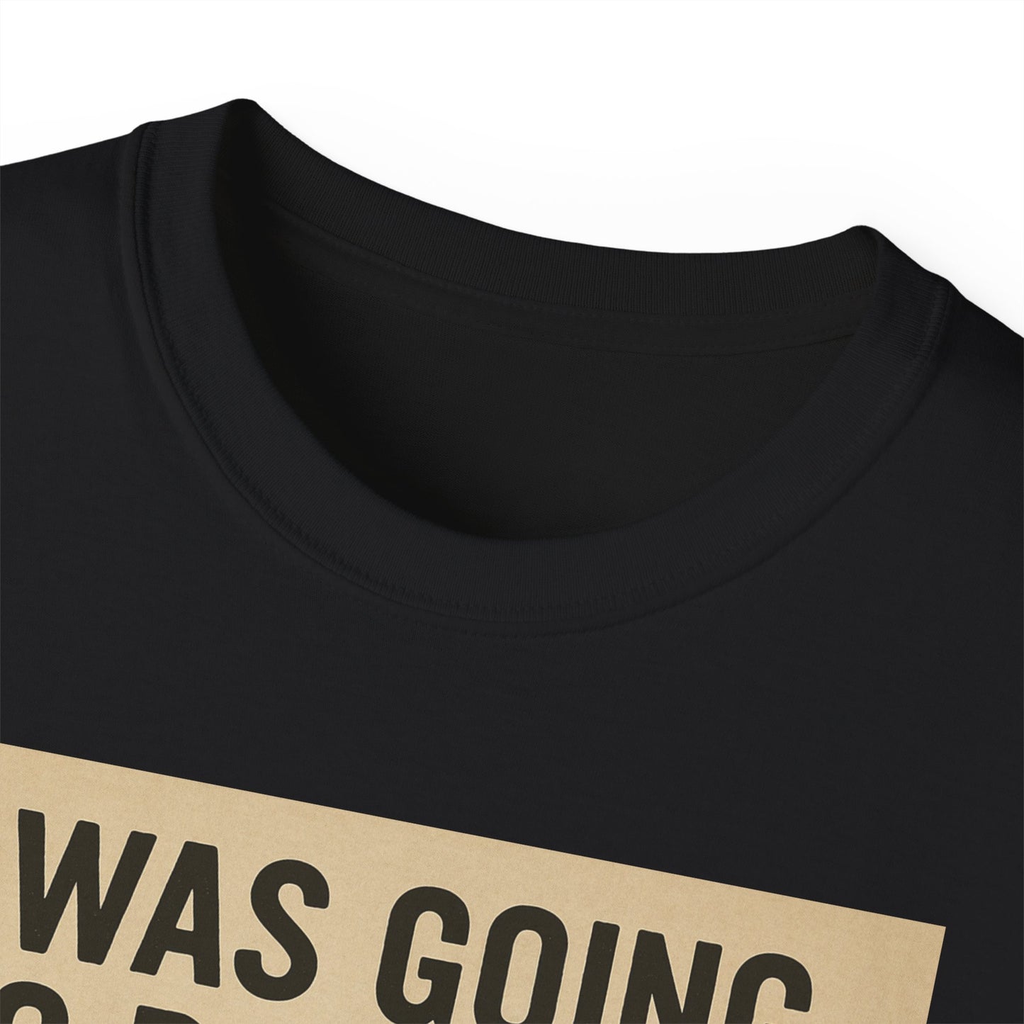 I Was Going To Do It But, Kittens T-Shirt