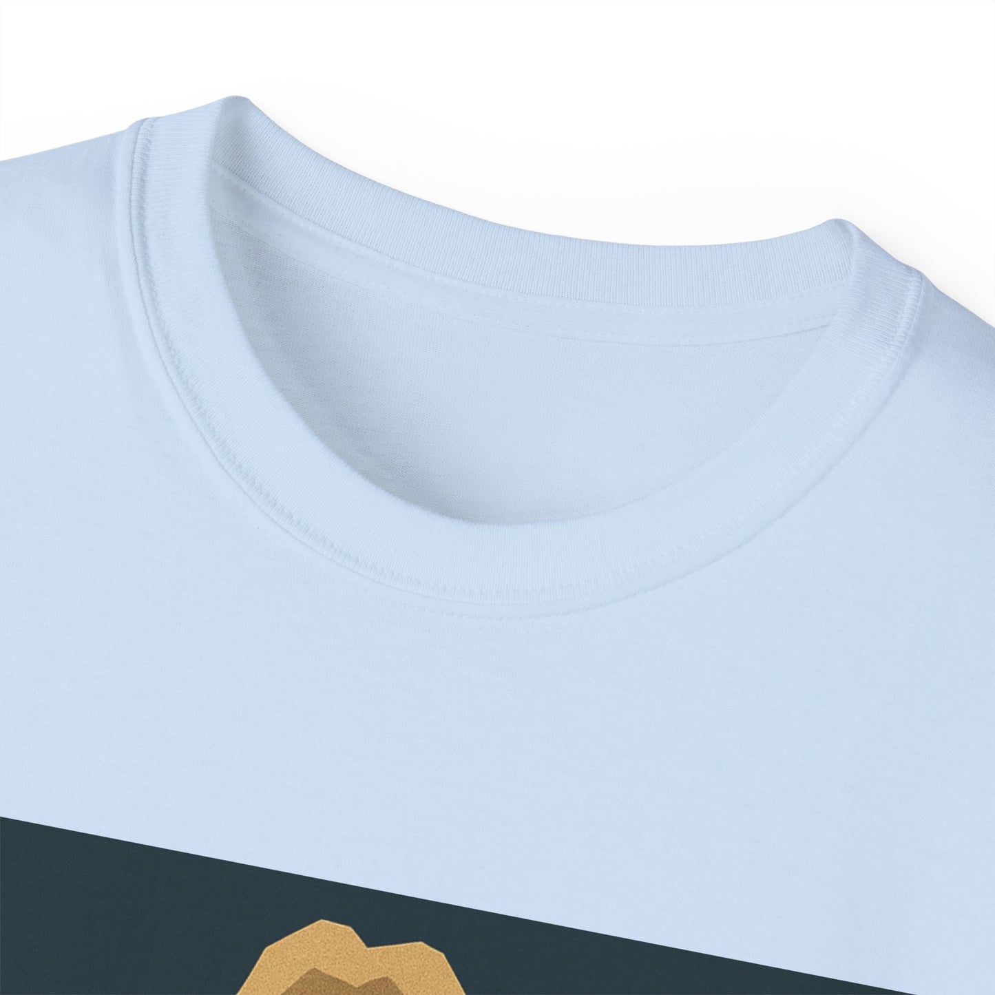 Ric Flair WWF WWE WOOO