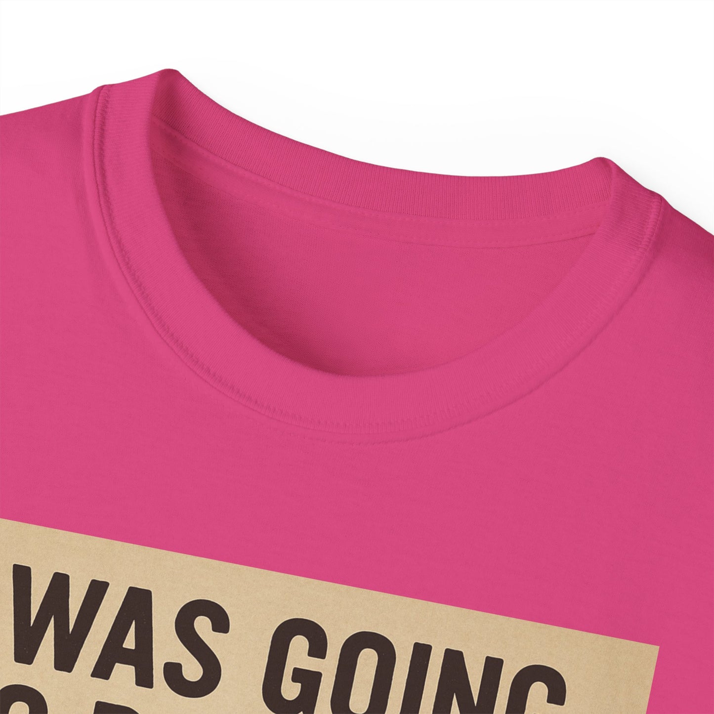 I Was Going To Do It But, Kittens T-Shirt