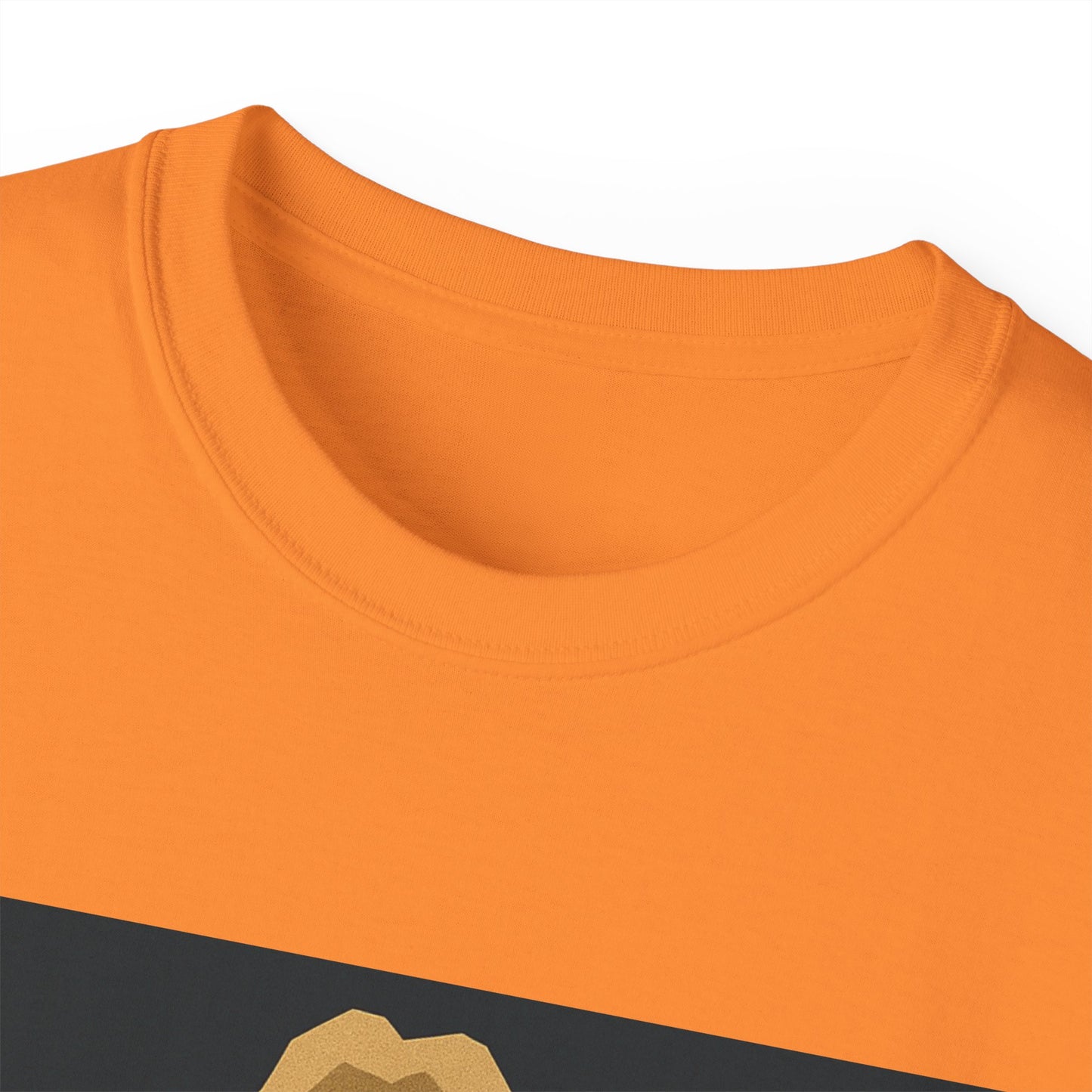 Ric Flair WWF WWE WOOO