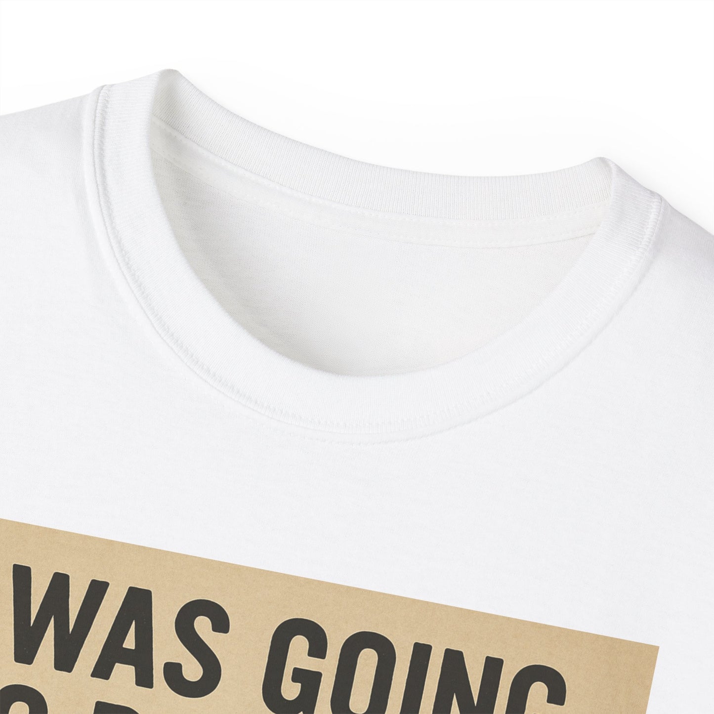 I Was Going To Do It But, Kittens T-Shirt