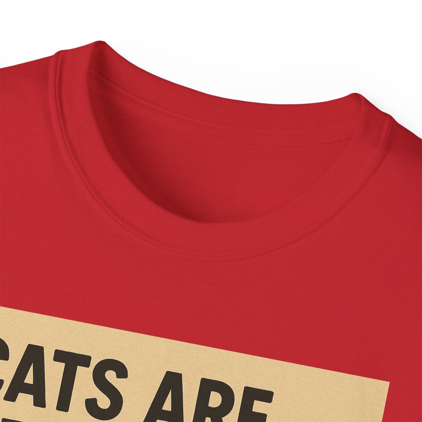 Cats Are Better Than Humans T-Shirt