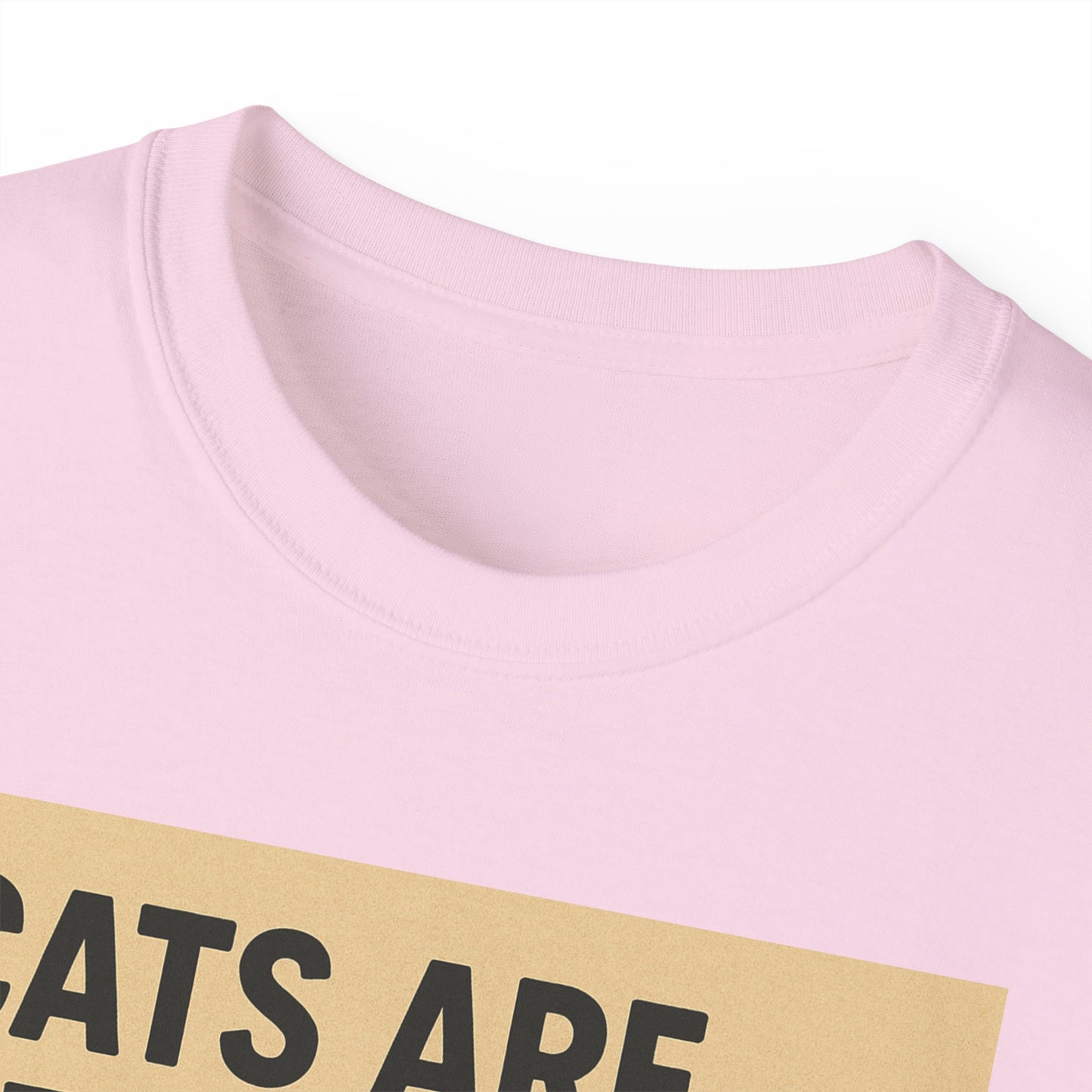 Cats Are Better Than Humans T-Shirt
