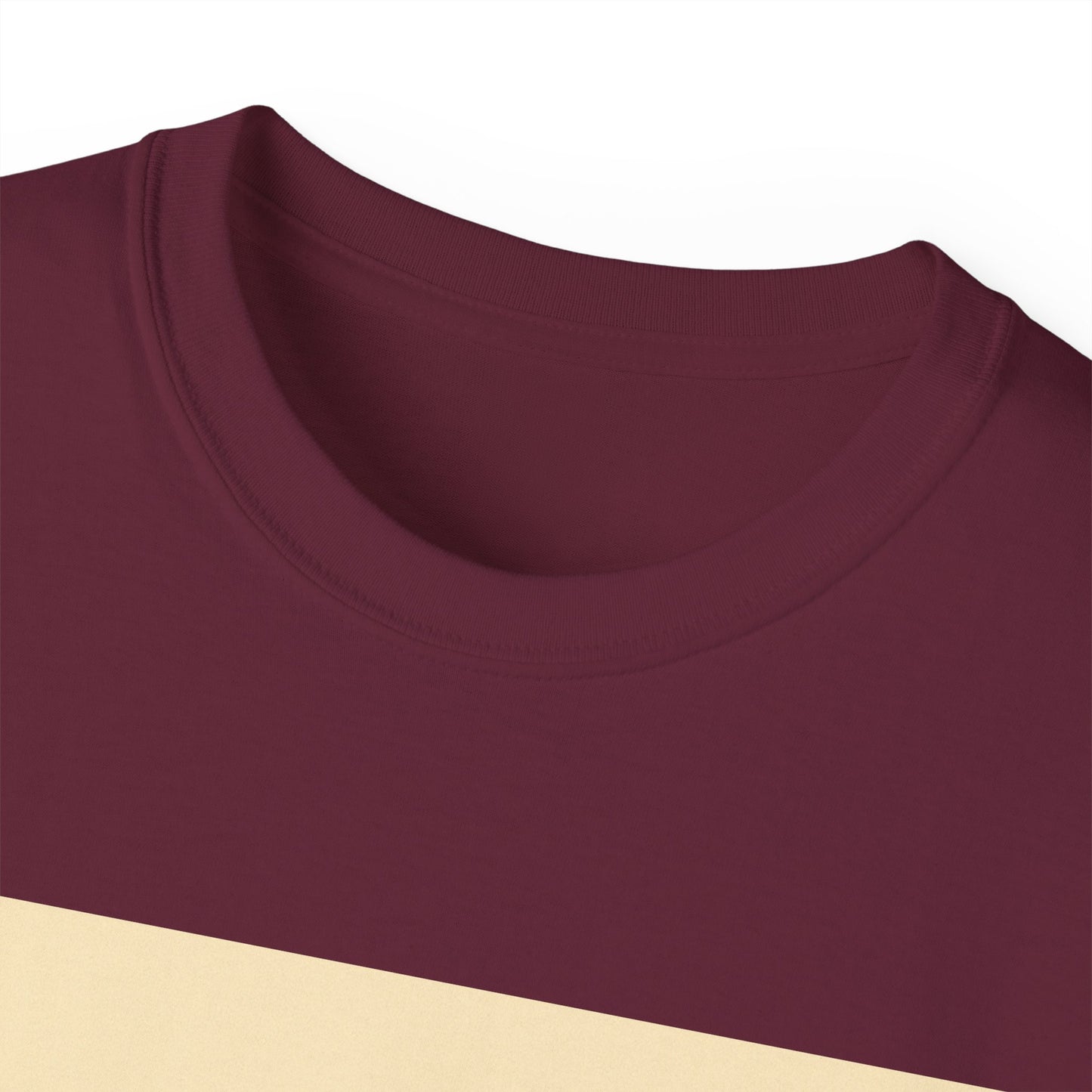 Edgeley Park Stockport County