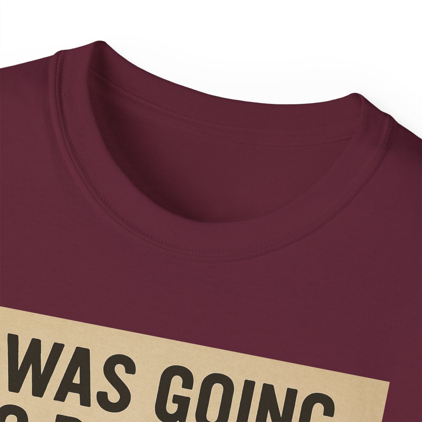 I Was Going To Do It But, Kittens T-Shirt