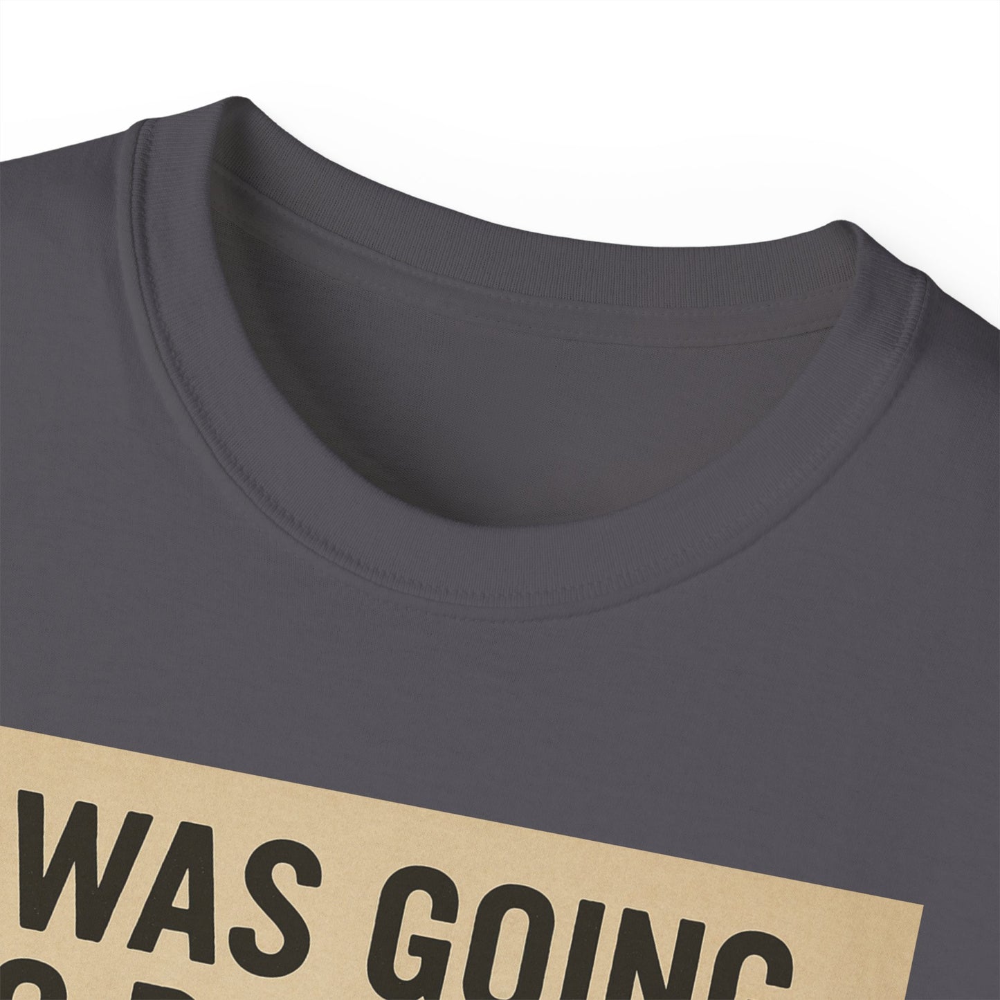I Was Going To Do It But, Kittens T-Shirt