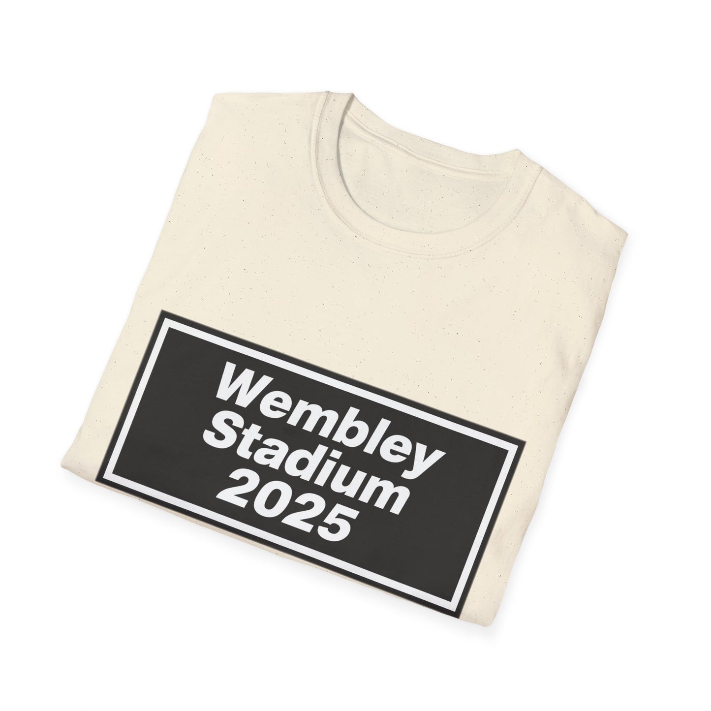 Oasis Wembley Stadium 2025 T-Shirt