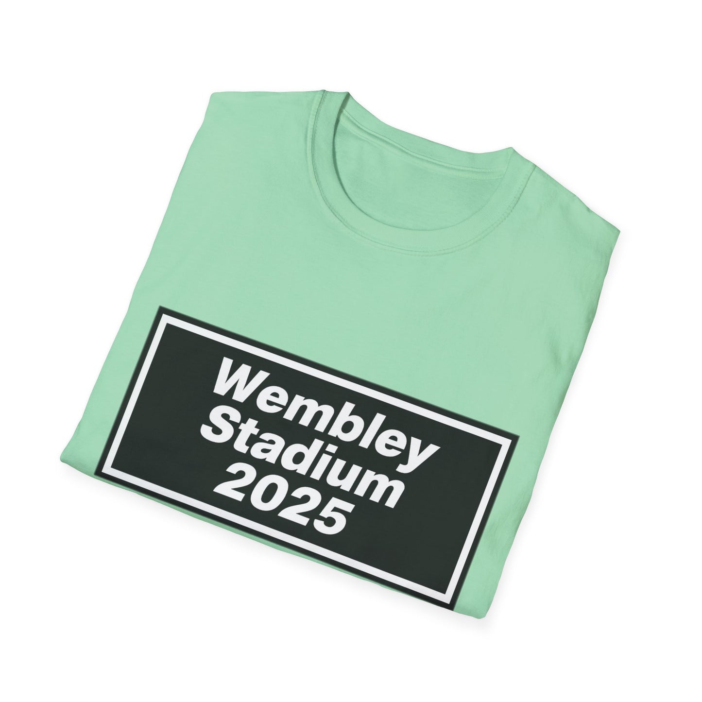 Oasis Wembley Stadium 2025 T-Shirt