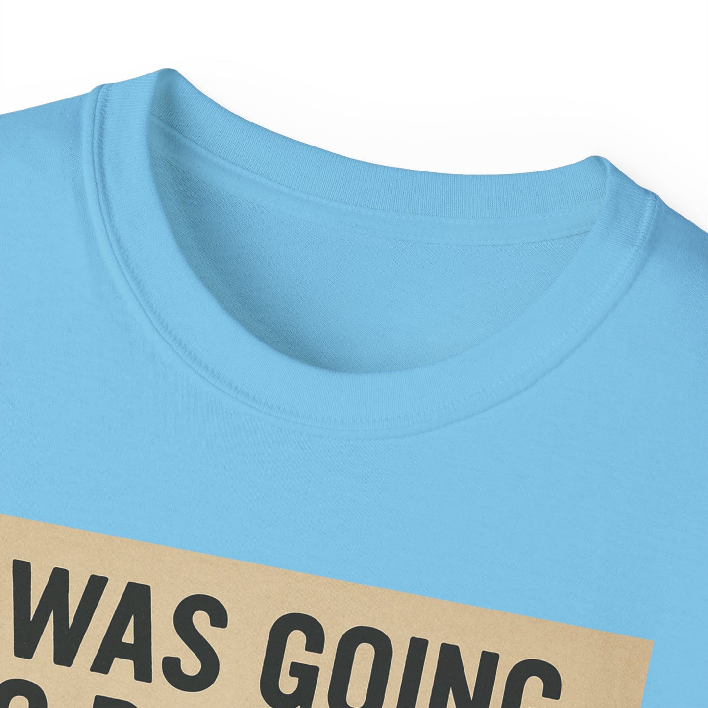 I Was Going To Do It But, Kittens T-Shirt