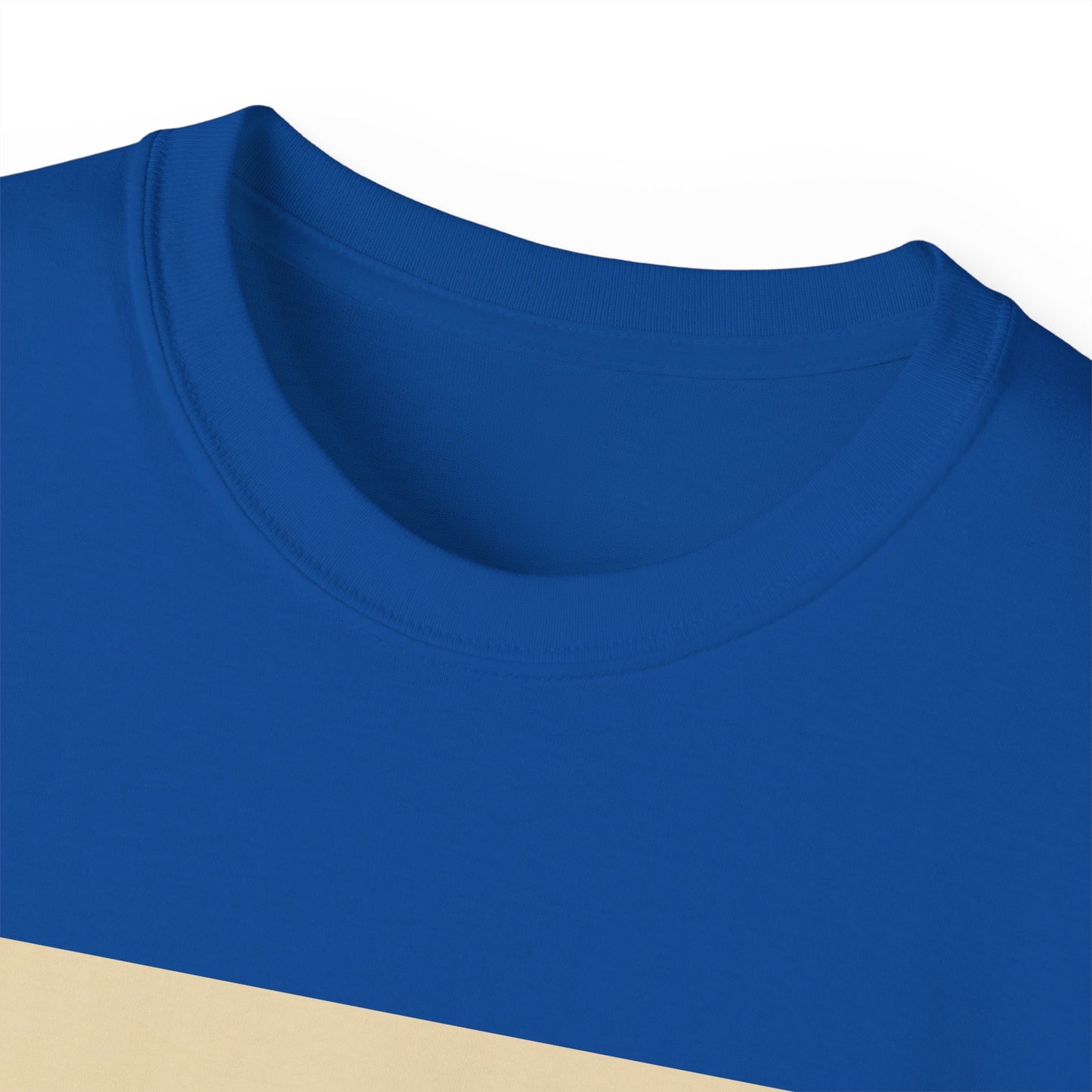 Maine Road 1990s - Manchester City