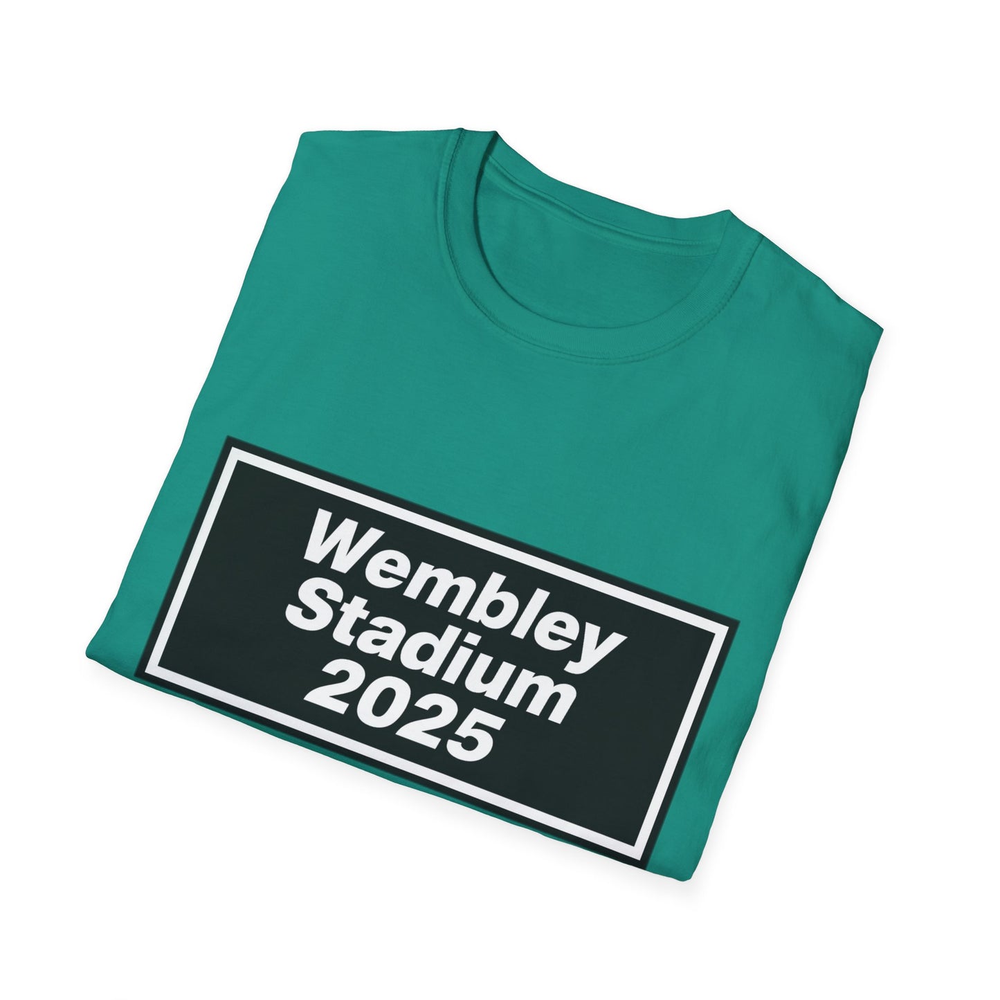 Oasis Wembley Stadium 2025 T-Shirt
