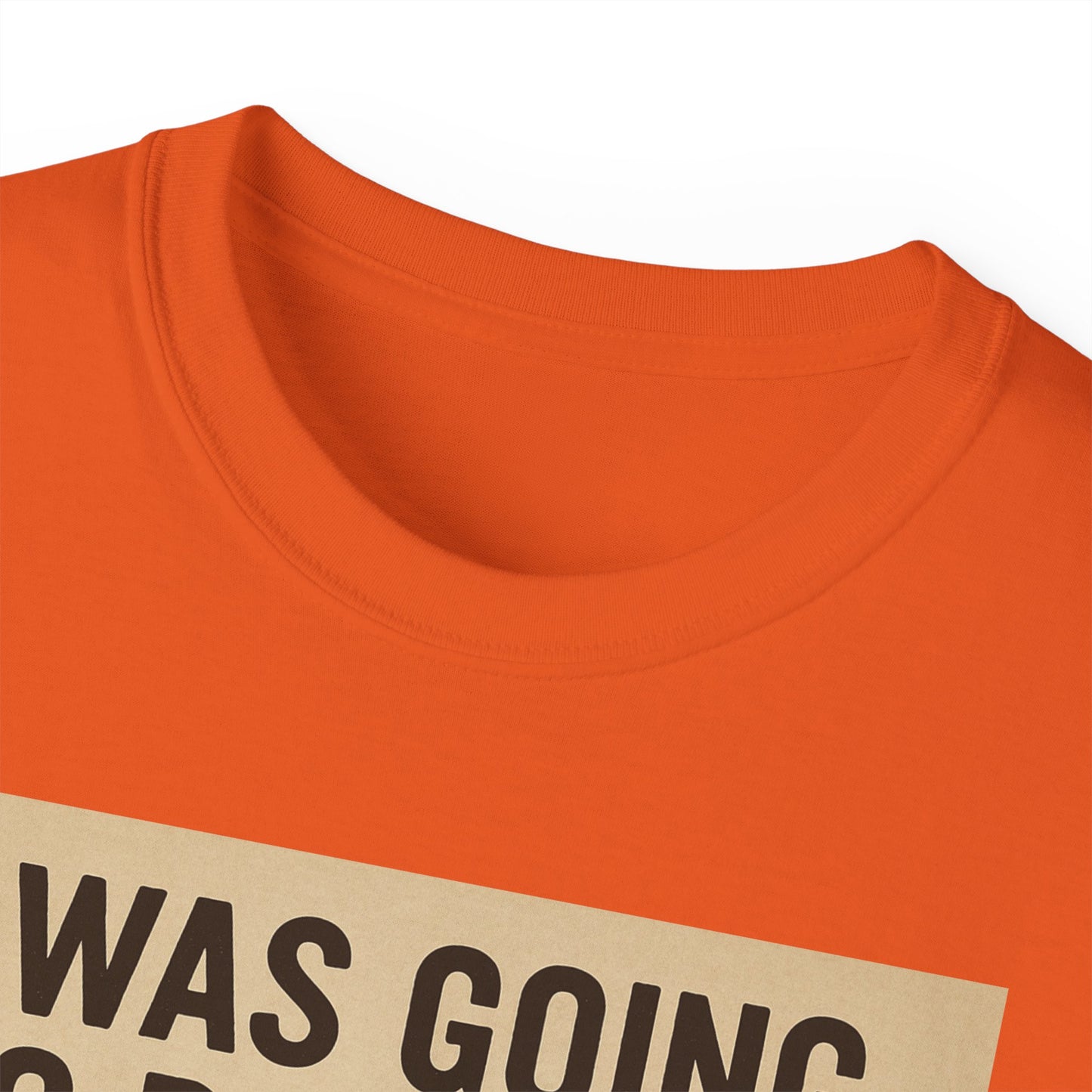 I Was Going To Do It But, Kittens T-Shirt