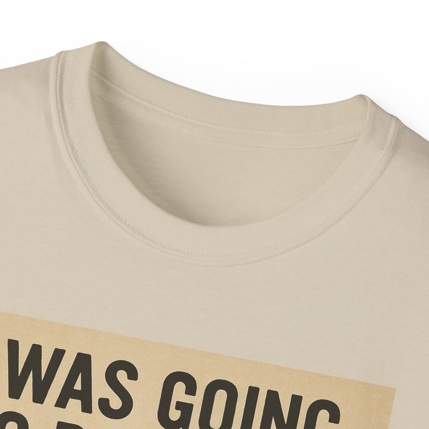 I Was Going To Do It But, Kittens T-Shirt