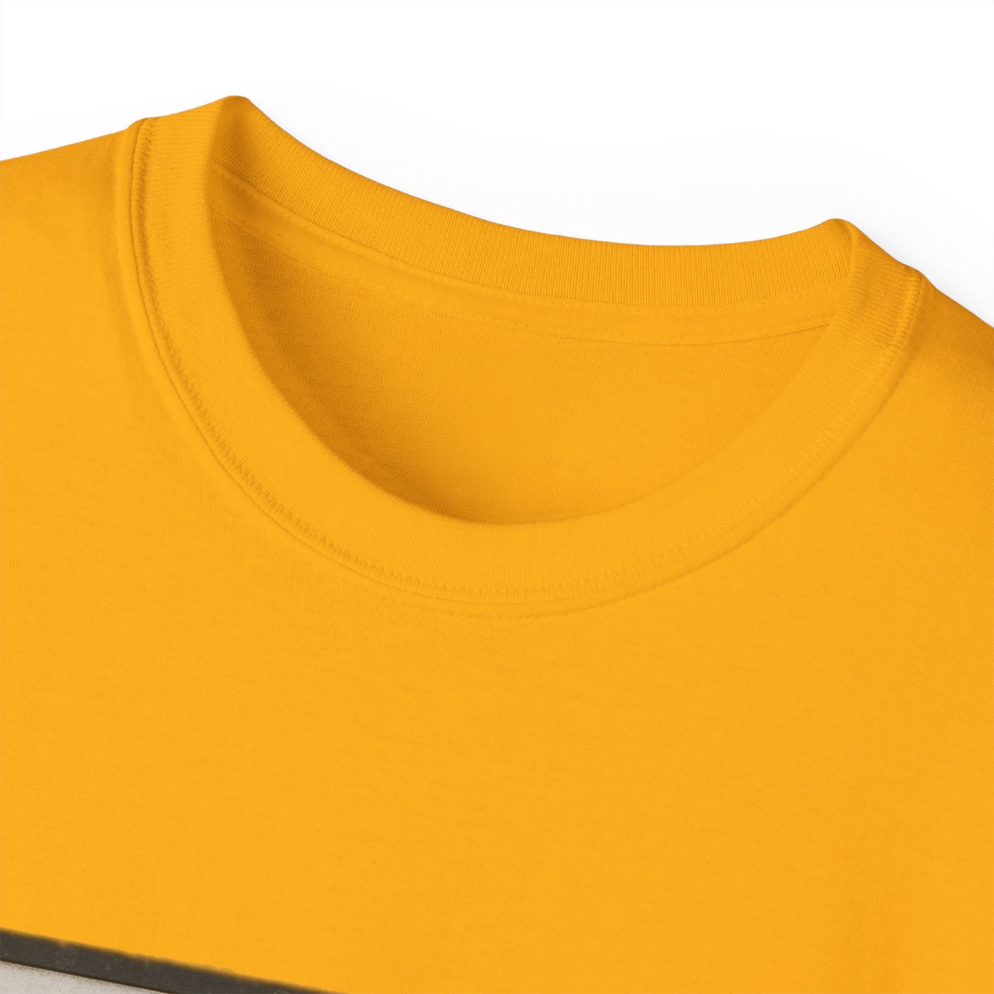 Gigg Lane Bury FC T-Shirt