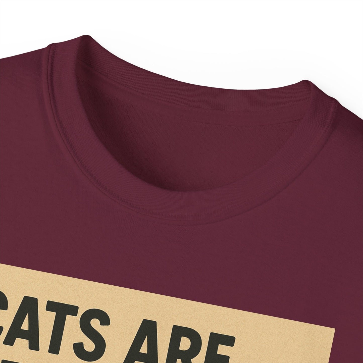 Cats Are Better Than Humans T-Shirt