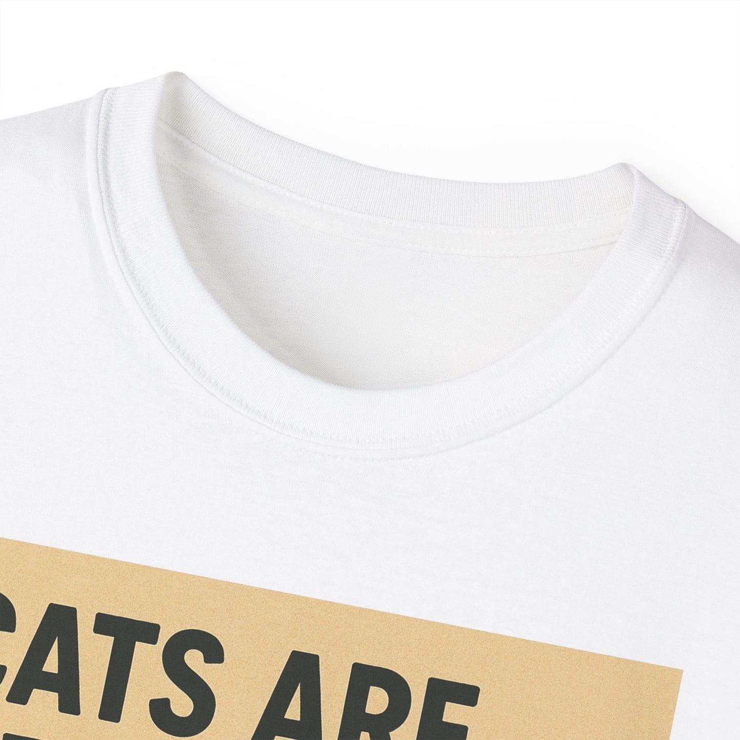 Cats Are Better Than Humans T-Shirt