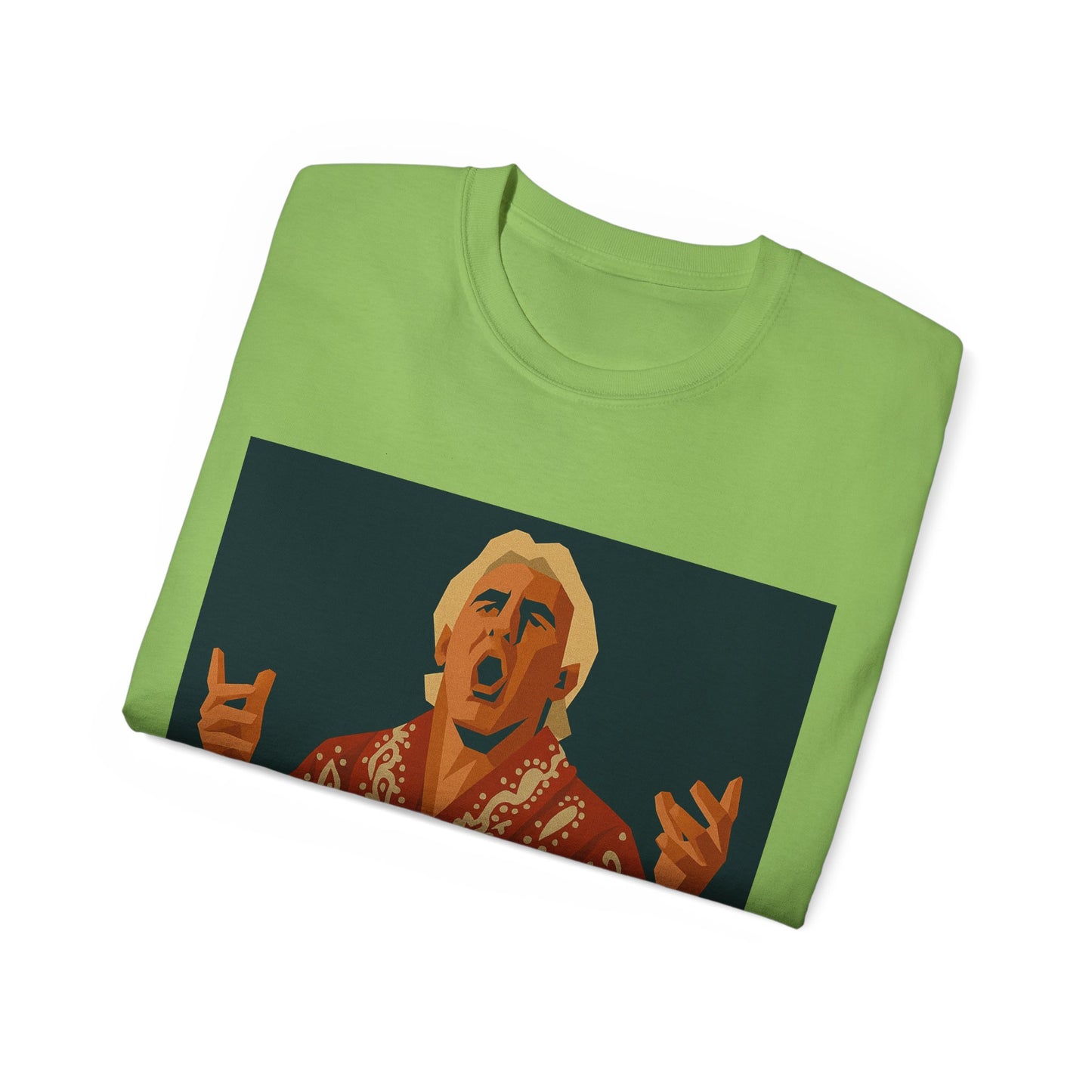 Ric Flair WWF WWE WOOO