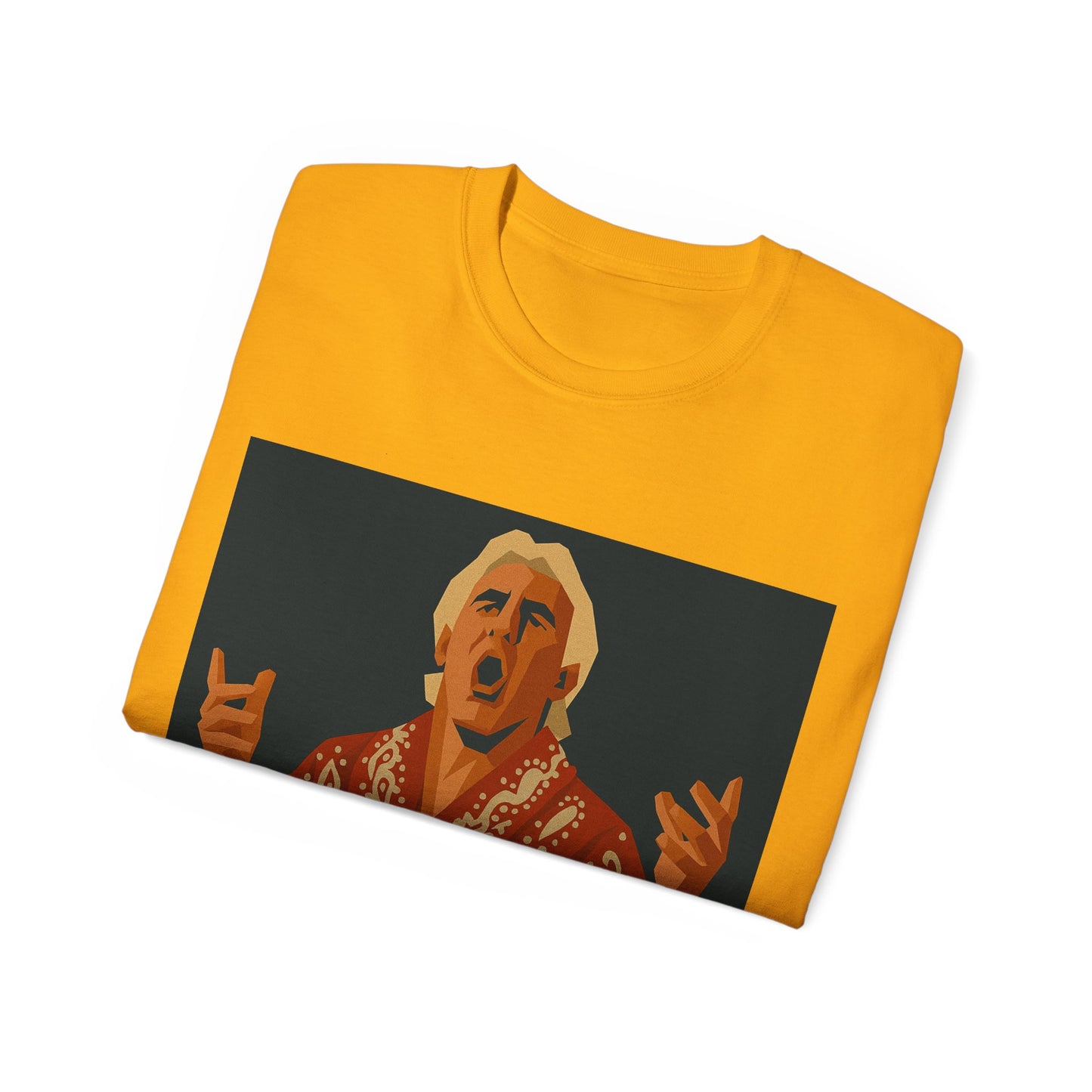 Ric Flair WWF WWE WOOO