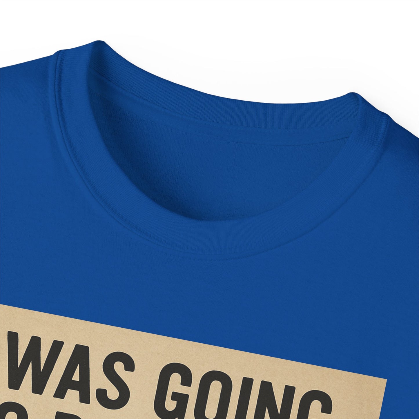 I Was Going To Do It But, Kittens T-Shirt