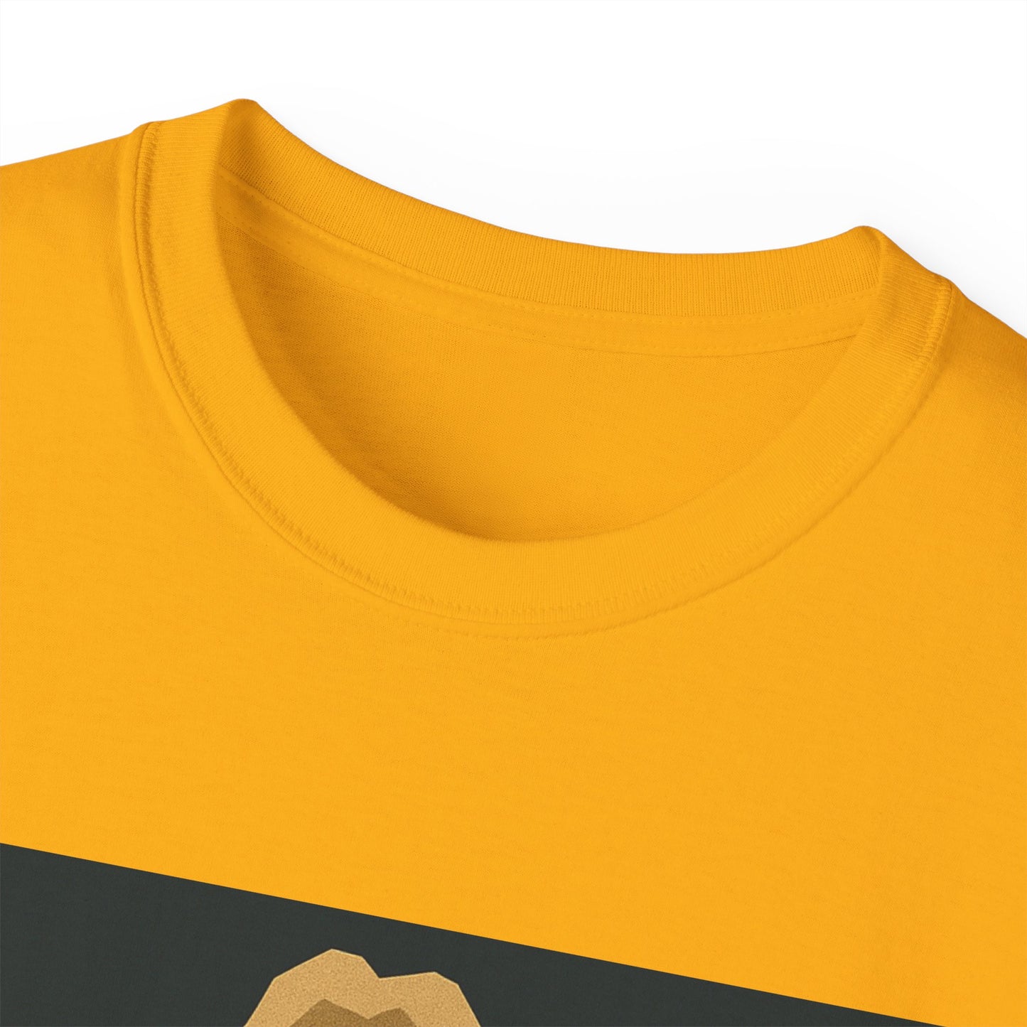 Ric Flair WWF WWE WOOO