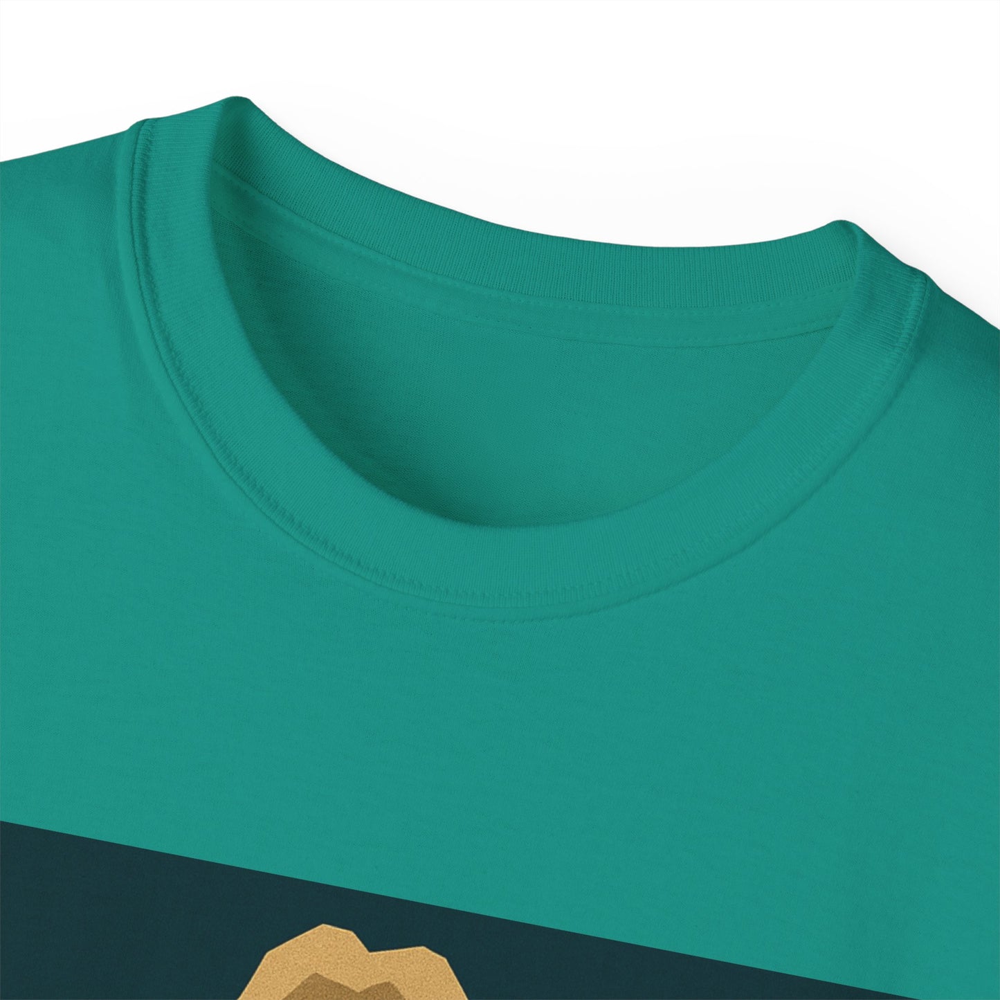 Ric Flair WWF WWE WOOO