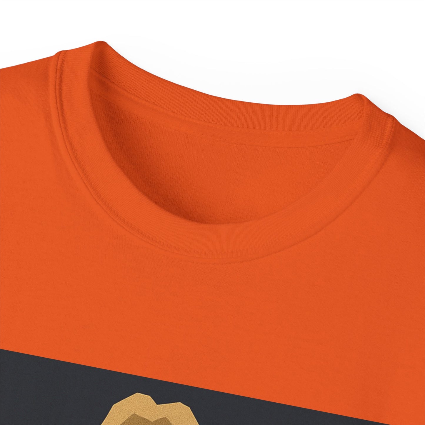 Ric Flair WWF WWE WOOO