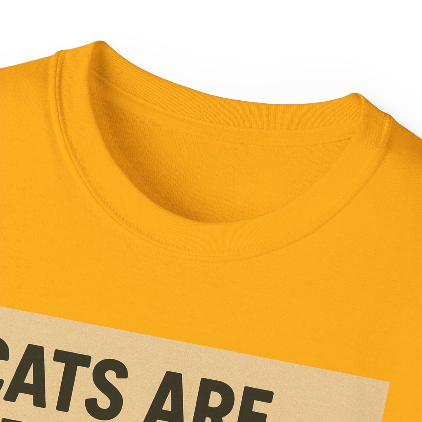 Cats Are Better Than Humans T-Shirt
