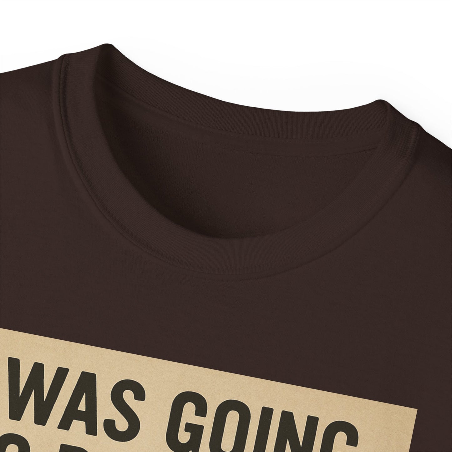 I Was Going To Do It But, Kittens T-Shirt