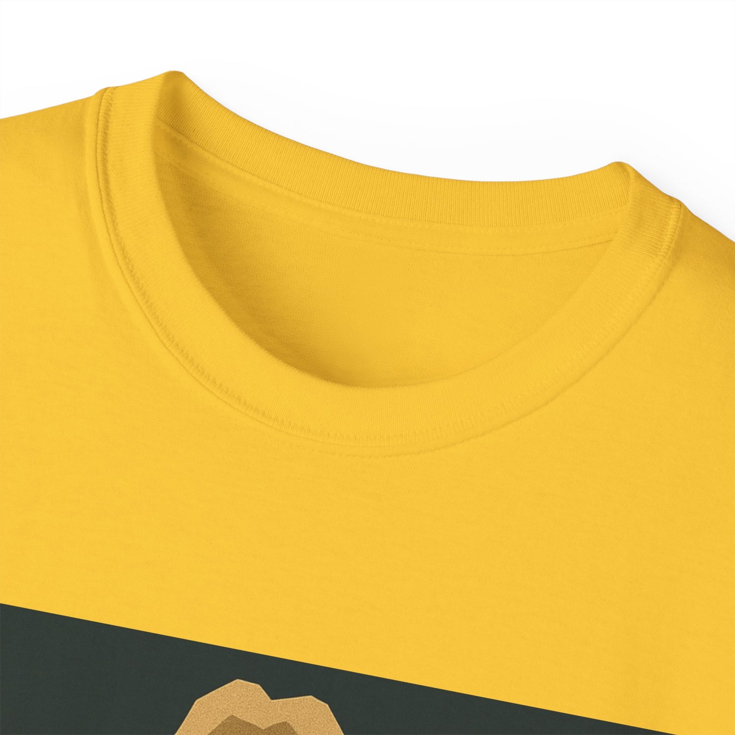 Ric Flair WWF WWE WOOO