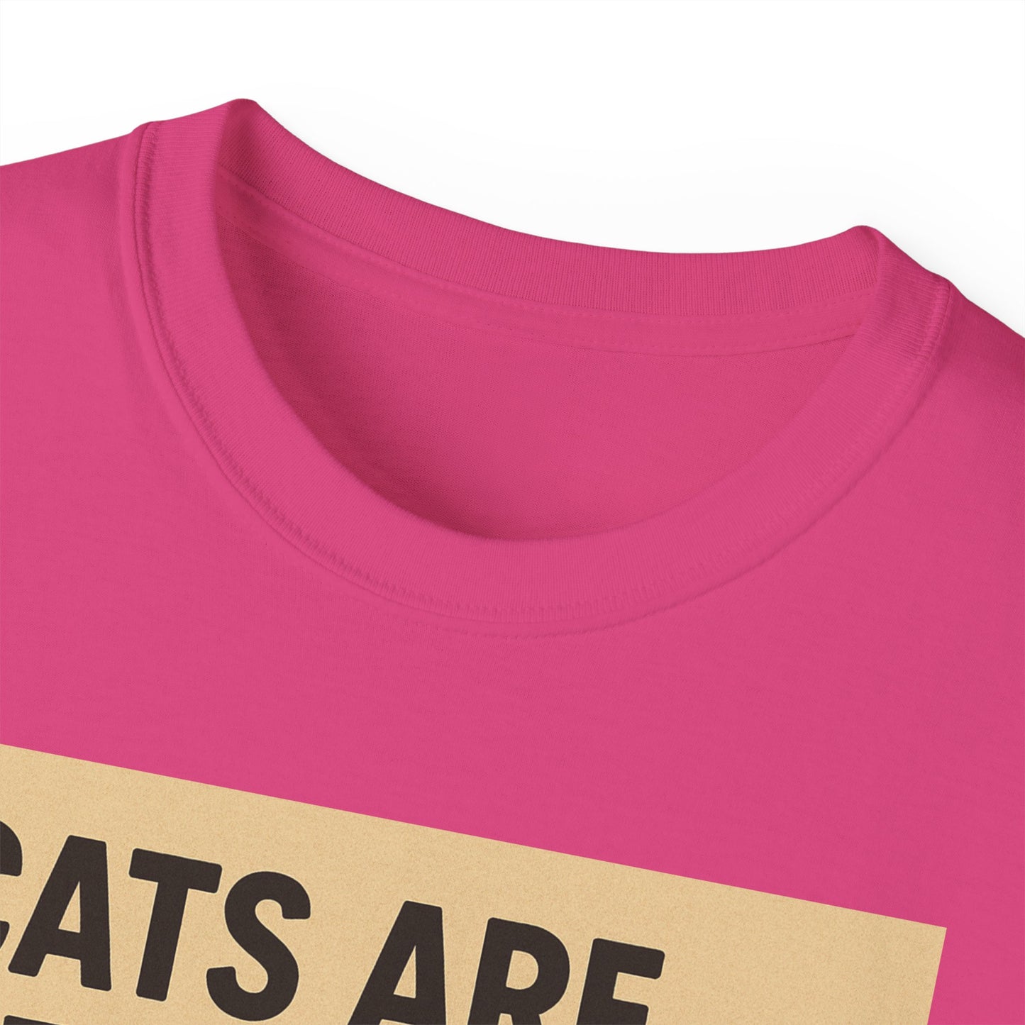 Cats Are Better Than Humans T-Shirt